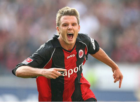 团队常常采 团队常常采